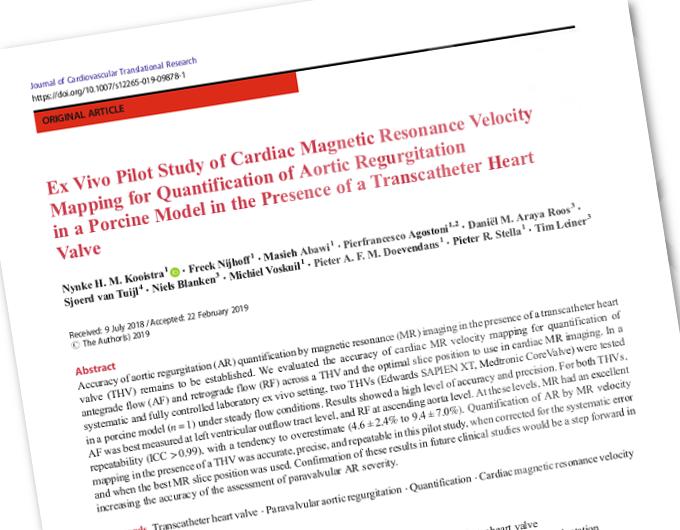 Paper - Ex Vivo Pilot Study of Cardiac Magnetic Resonance Velocity Mapping