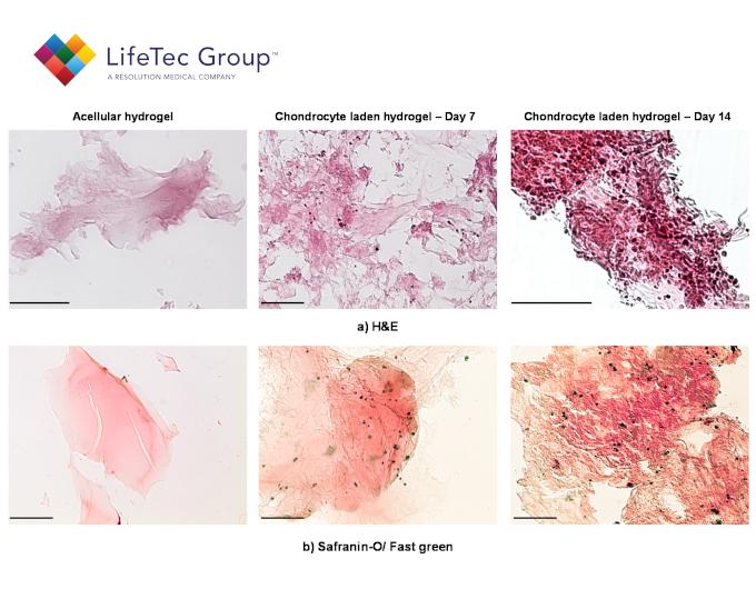 webimage histology