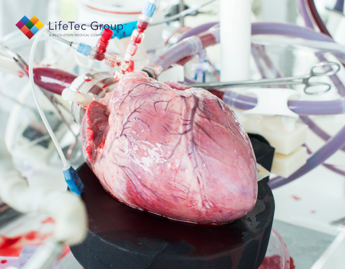PhysioHeart