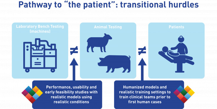 Transitional hurdles