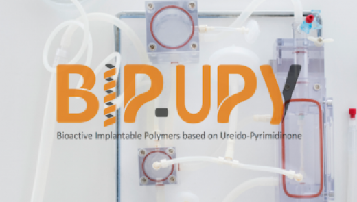 BIP-UPY