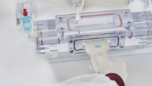 Vascular Bioreactor Platform 