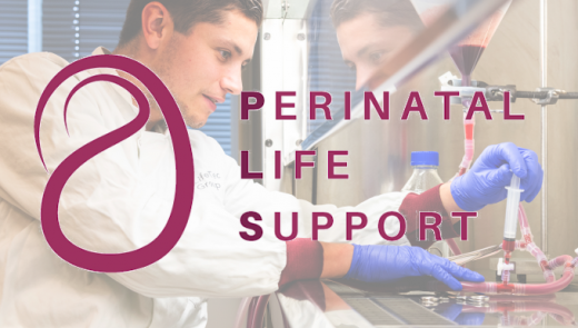 Perinatal Life Support